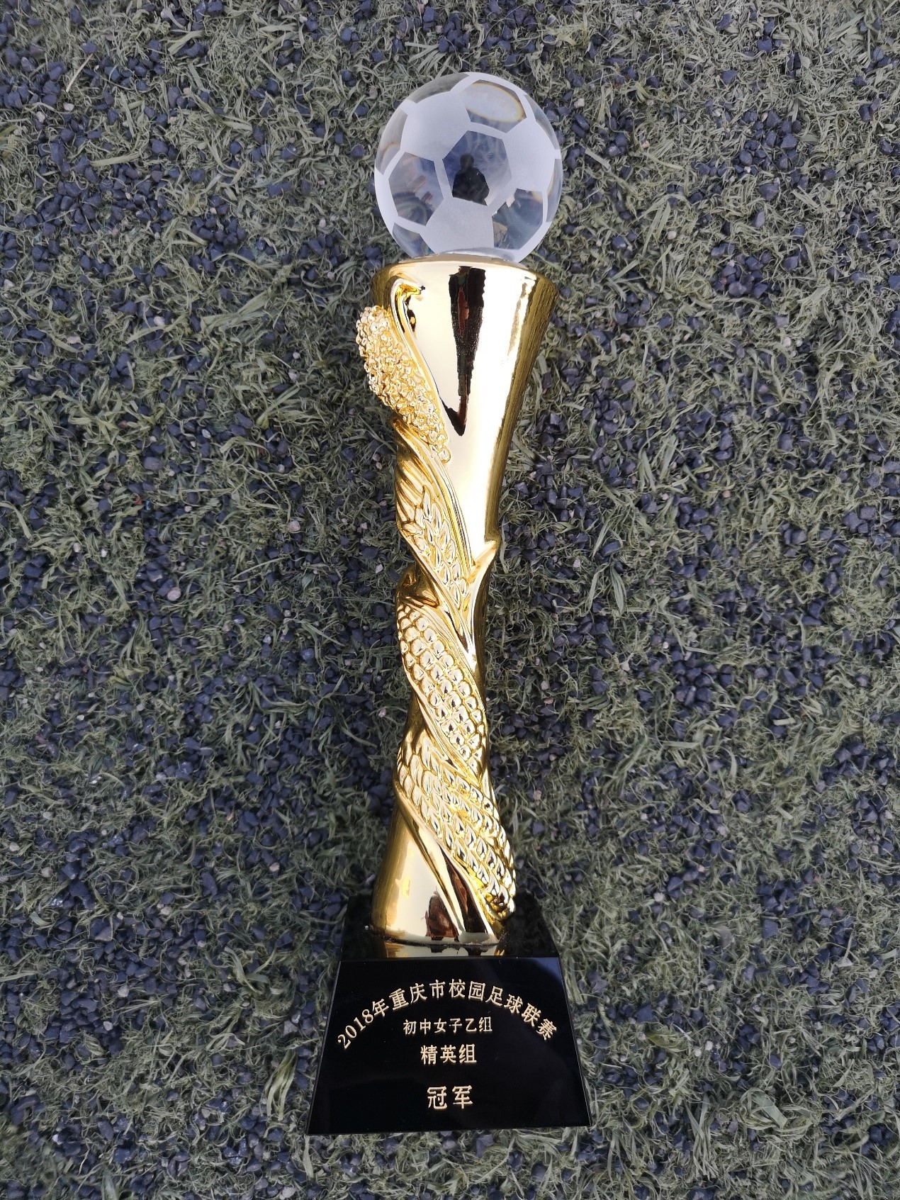 2018年bw必威西汉姆联官网附属中学女子足球队成绩简报