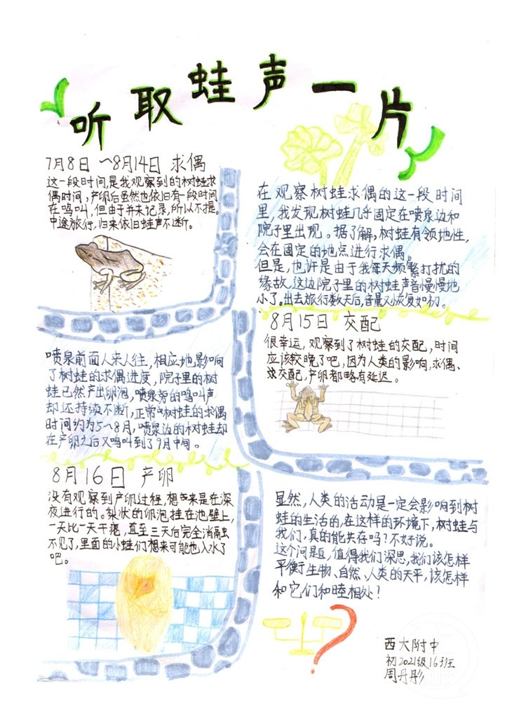 囊获自然笔记大赛最高奖项 展现西大附中学子综合素养